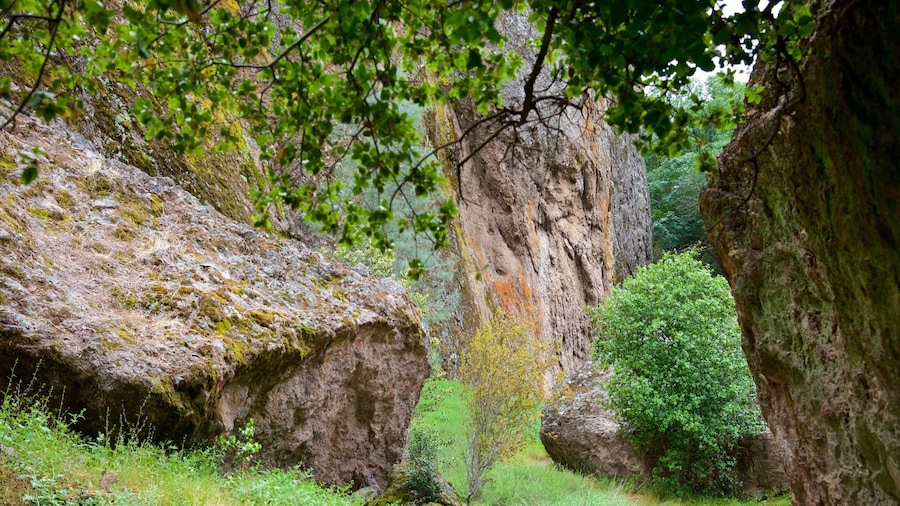 Pinnacles National Park showing tranquil scenes