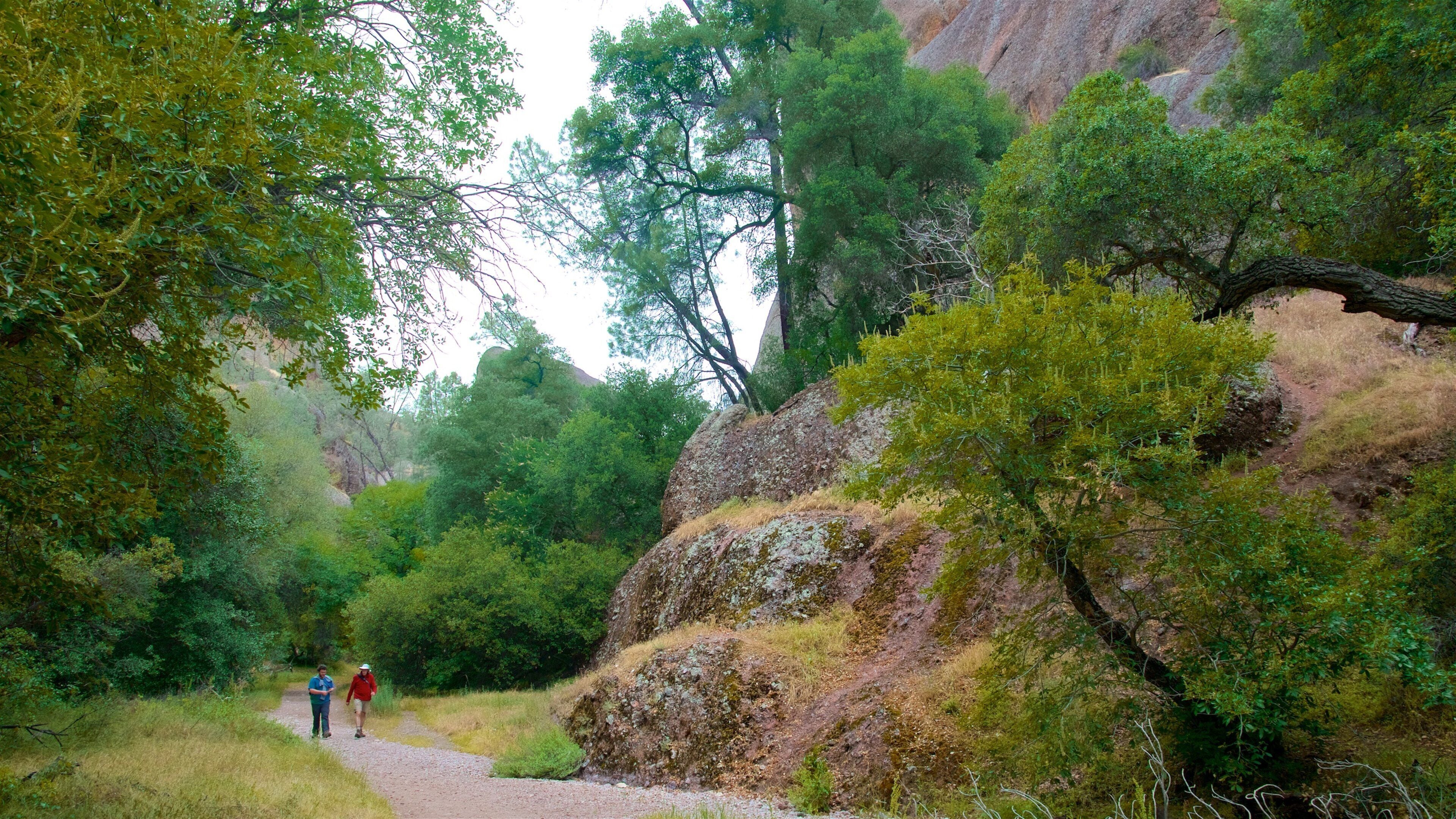Pinnacles National Park