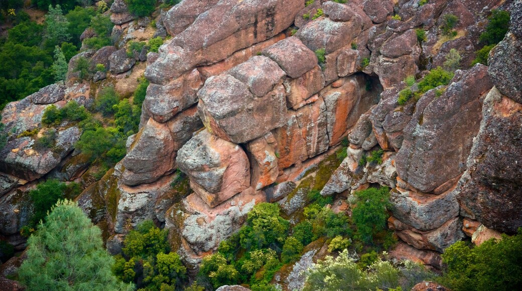 Pinnacles National Park showing mountains and tranquil scenes