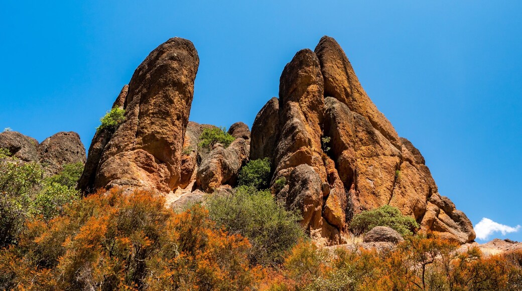 Great place for hiking or camping. Perfect for a different view - unique vegetation and rocks that looks like a gardener place them with amazing skill