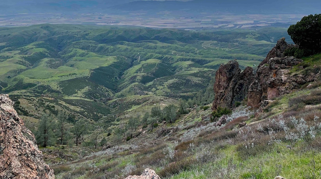 I took a very unused ‘trail’ between the South Chalone and Chalone Peak trails and got to see some amazing geology and incredible landscape. This photo is right at the NPS boundary line overlooking a section of Hain Wilderness. The hike was very tiring but the views are worth it.
#Hiking #Camping #SanAndreasFaultline #California #NationalParks #Wilderness