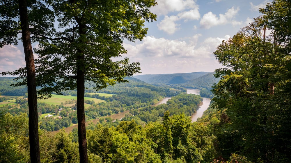 Allegheny National Forest