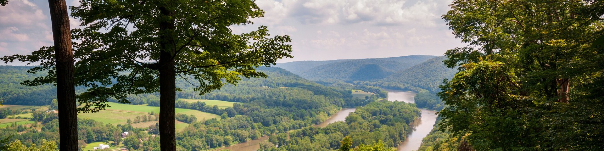 Allegheny National Forest