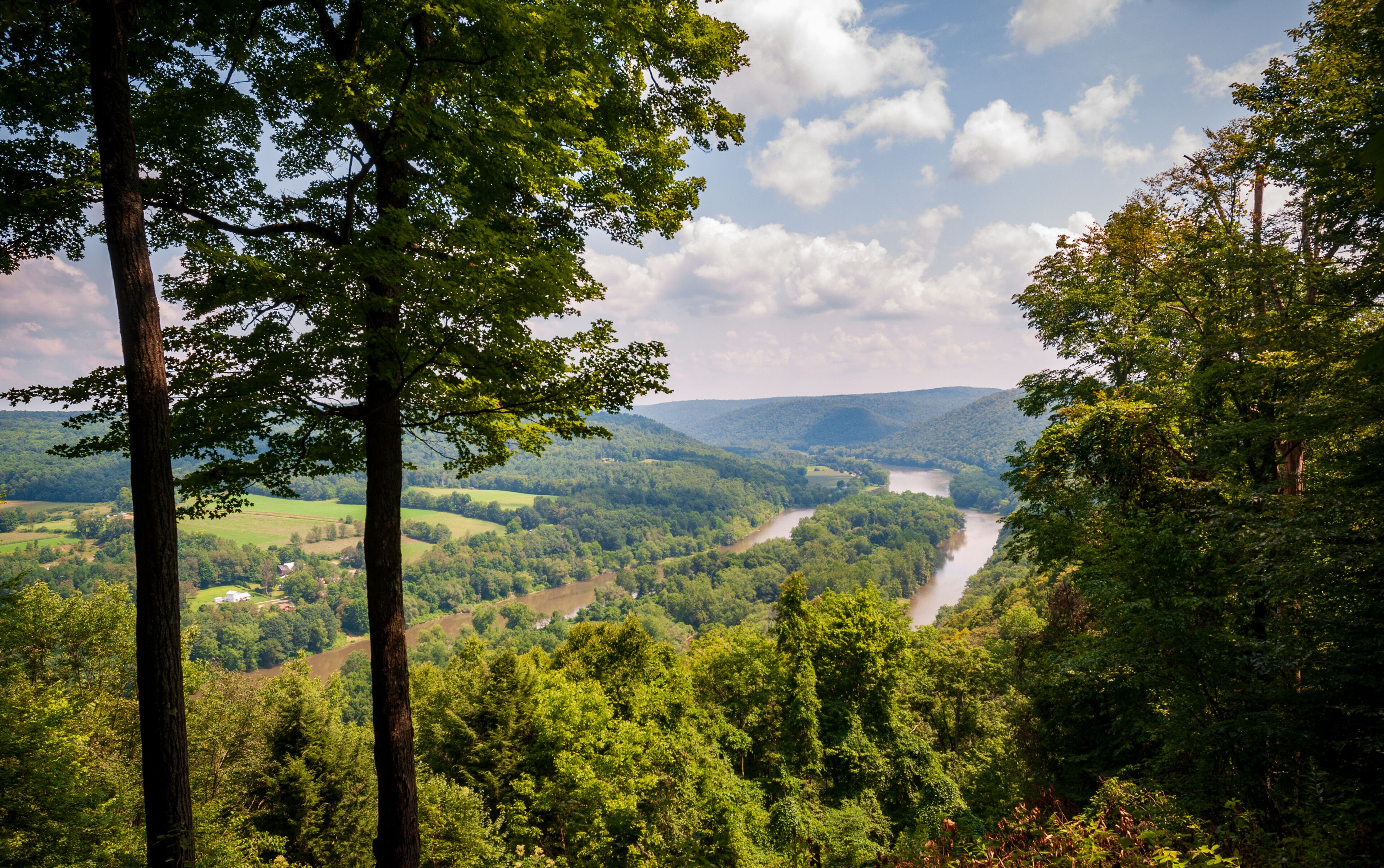A river winding through a forested valley with hills in the background.