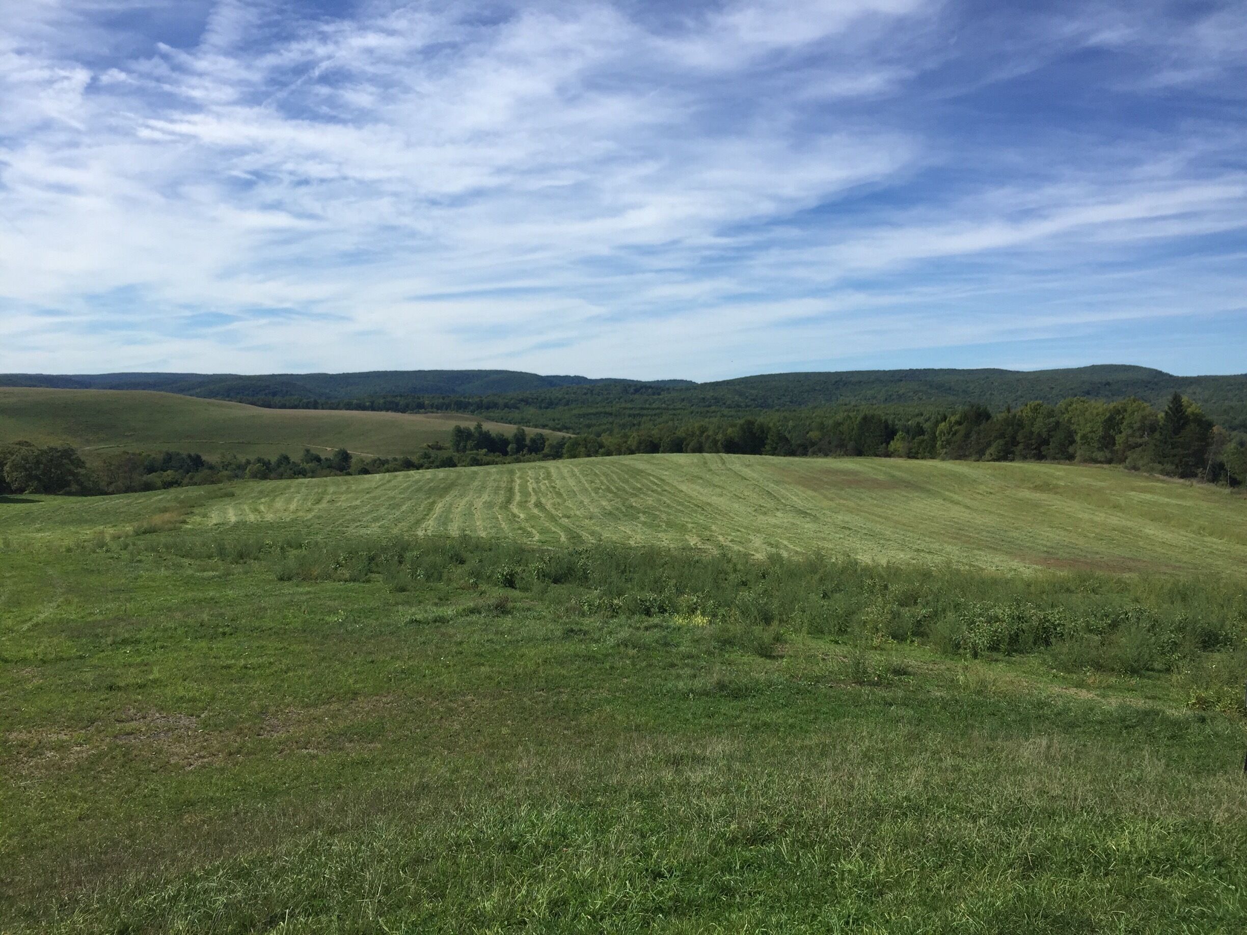 You can hear elk bugling for miles - great area to watch wildlife. It was a strip mining facility! 
