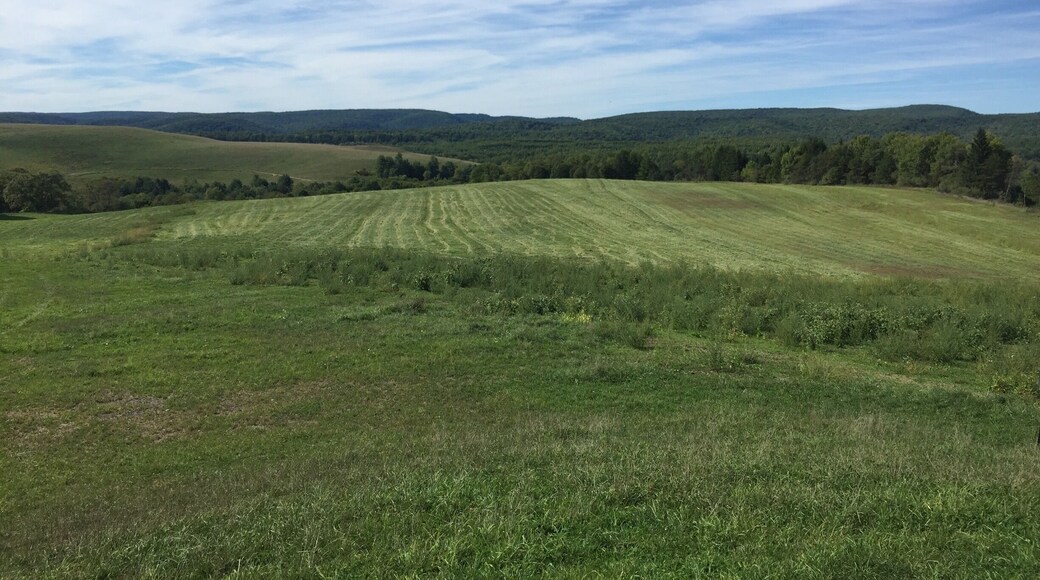 You can hear elk bugling for miles - great area to watch wildlife. It was a strip mining facility!