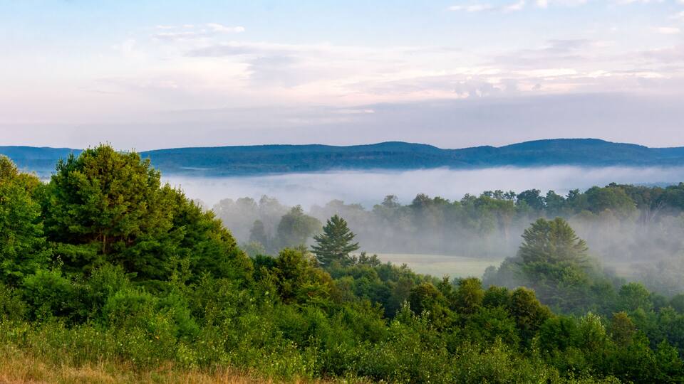 Morning fog in the countryside in Benezette Pennsylvania