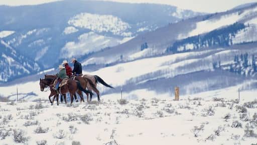 Family Horseback Riding in the Snow