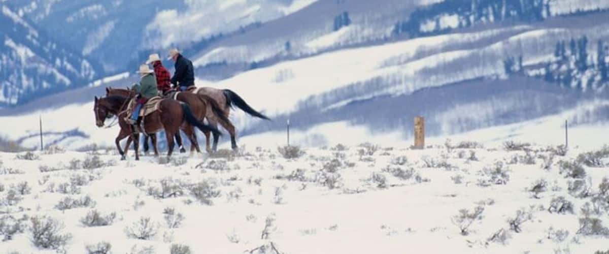 A group of people riding horses on a snow-covered landscape with mountains in the background.