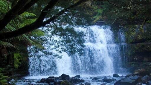 Lovely spot and all to ourselves. Amazing waterfalls and views. So much to see.
