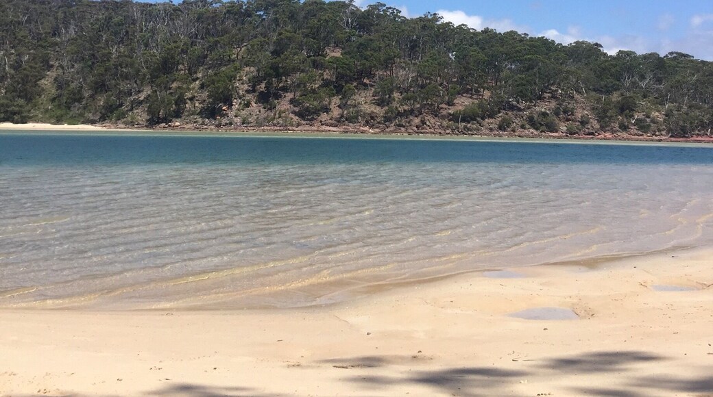 Pambula river on a sunny day. Crystal clear water, so clear you could see the fish! Definitely recommend this quiet spot for a sun bake ☀️ or a fish 🎣
