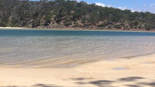 Pambula river on a sunny day. Crystal clear water, so clear you could see the fish! Definitely recommend this quiet spot for a sun bake ☀️ or a fish 🎣