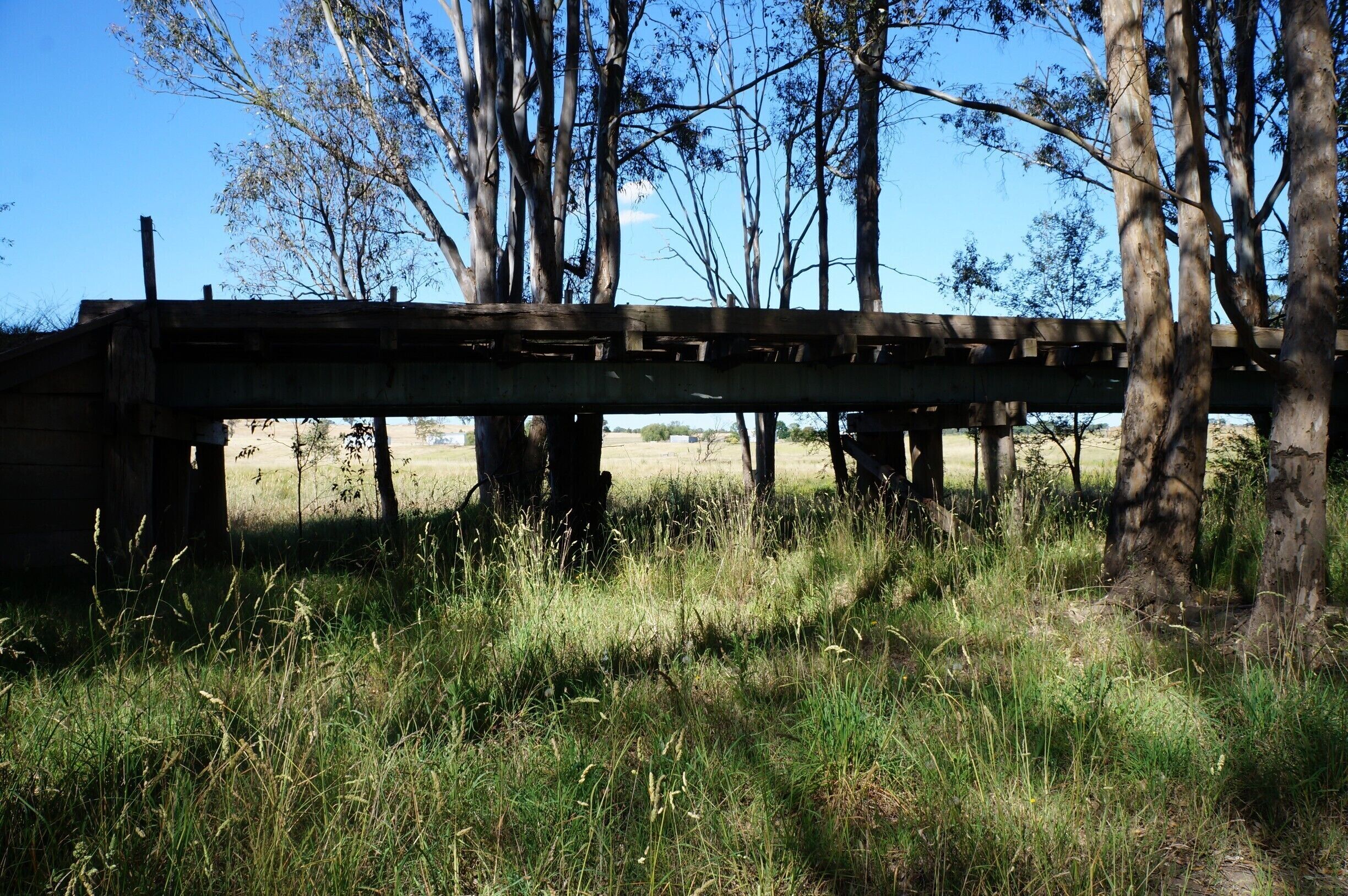 Old Bridge on a nature reserve of land near #Maffra , #East Gippsland, #Australia

www.wyldfamilytravel.com