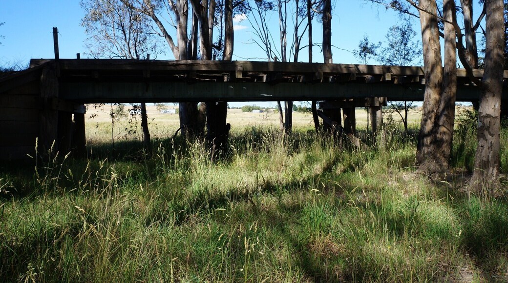 Old Bridge on a nature reserve of land near #Maffra , #East Gippsland, #Australia
www.wyldfamilytravel.com