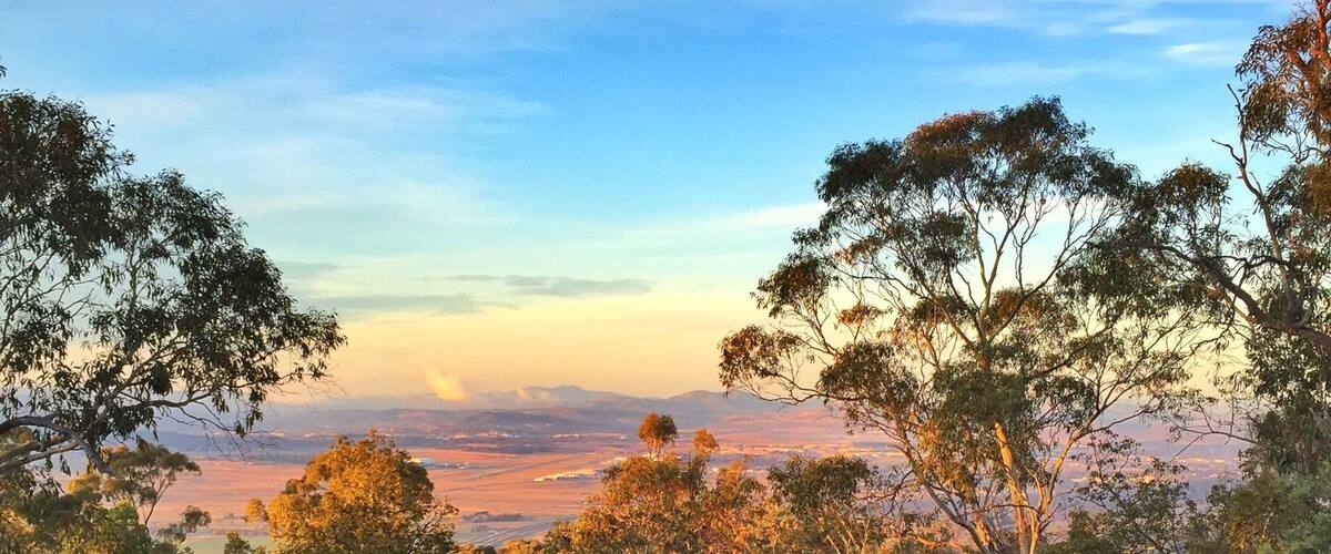 If you head up to Mt Majura from the Hacket gate it will take approximately 45 minutes at a slow pace to reach the summit. And if you time it right, you can get up there just before the sun rises...
#goldenhour