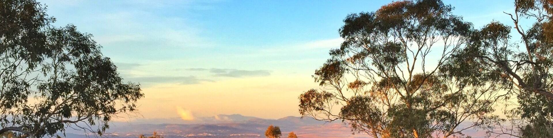 If you head up to Mt Majura from the Hacket gate it will take approximately 45 minutes at a slow pace to reach the summit. And if you time it right, you can get up there just before the sun rises...
#goldenhour