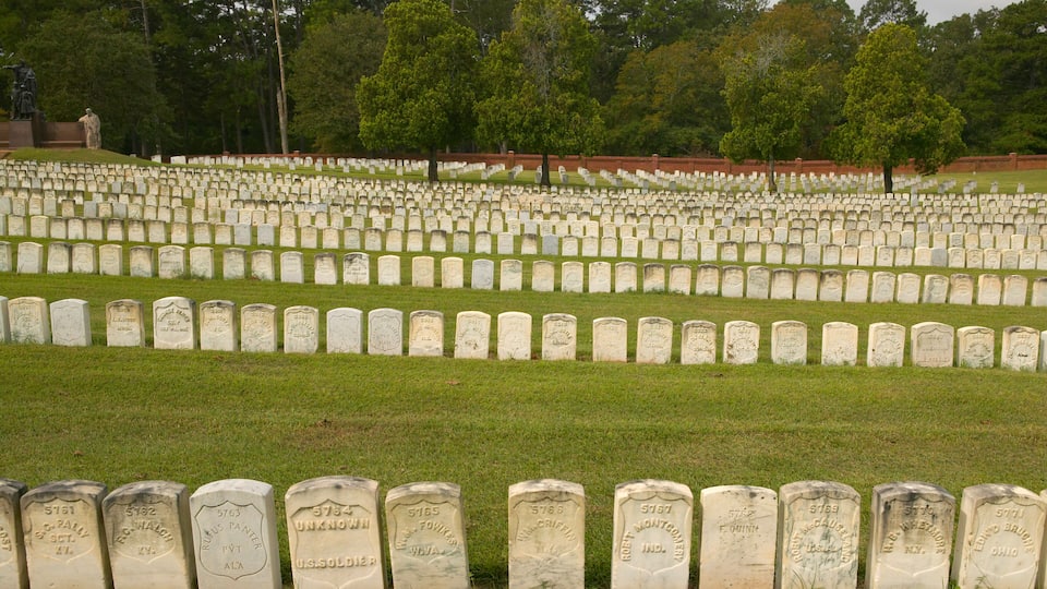 A cemetery with numerous headstones arranged in rows.