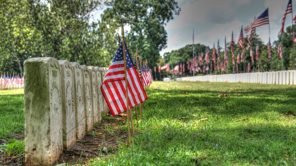 A row of American flags on flagpoles in a grassy field with trees in the background.