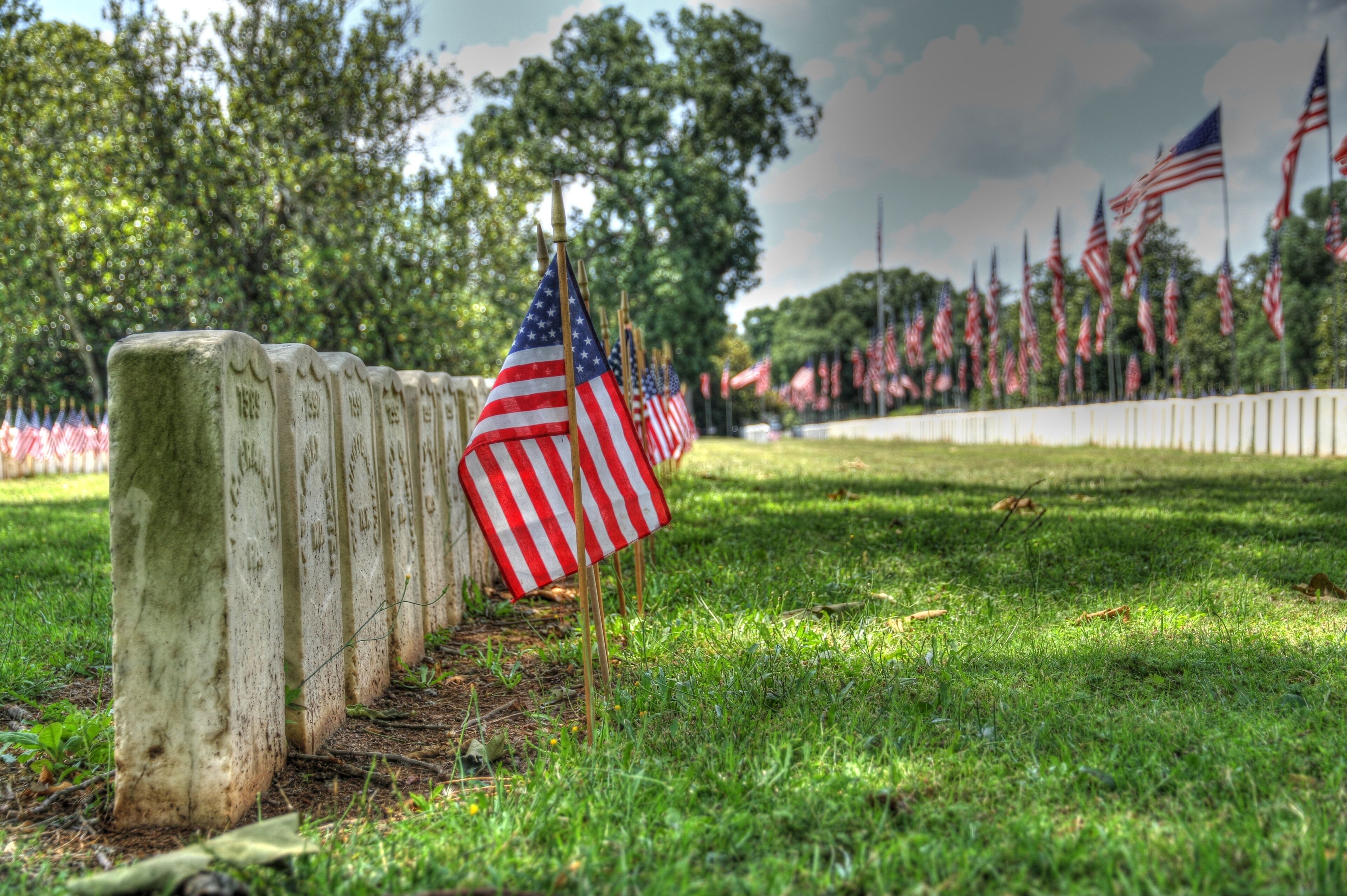 A row of American flags on flagpoles in a grassy field with trees in the background.