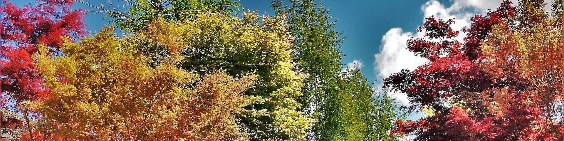 Make no mistake, this garden is a winner. Out from Oberon in the backblocks, this has been set up with wads of cash. It has bits of English, Japanese, Italian and Australian in it and, who knows what else. It's extensive and you'd need a minimum of two hours to get a rough idea of what's on show but, should you get tired, there's a lovely eatery and, of course, for the die hard gardener, a popular nursery. Not to be missed if you're anywhere near the area!