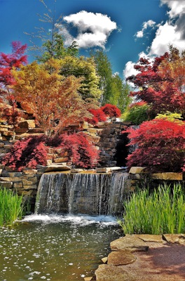 Make no mistake, this garden is a winner. Out from Oberon in the backblocks, this has been set up with wads of cash. It has bits of English, Japanese, Italian and Australian in it and, who knows what else. It's extensive and you'd need a minimum of two hours to get a rough idea of what's on show but, should you get tired, there's a lovely eatery and, of course, for the die hard gardener, a popular nursery. Not to be missed if you're anywhere near the area!