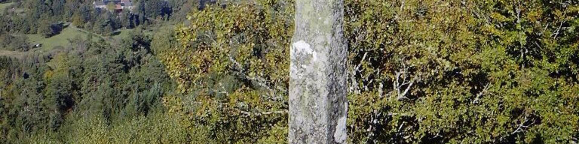 chapelle du rat x 8845