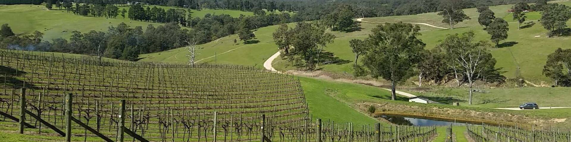 Blue Mountains bliss