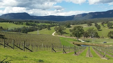 Blue Mountains bliss