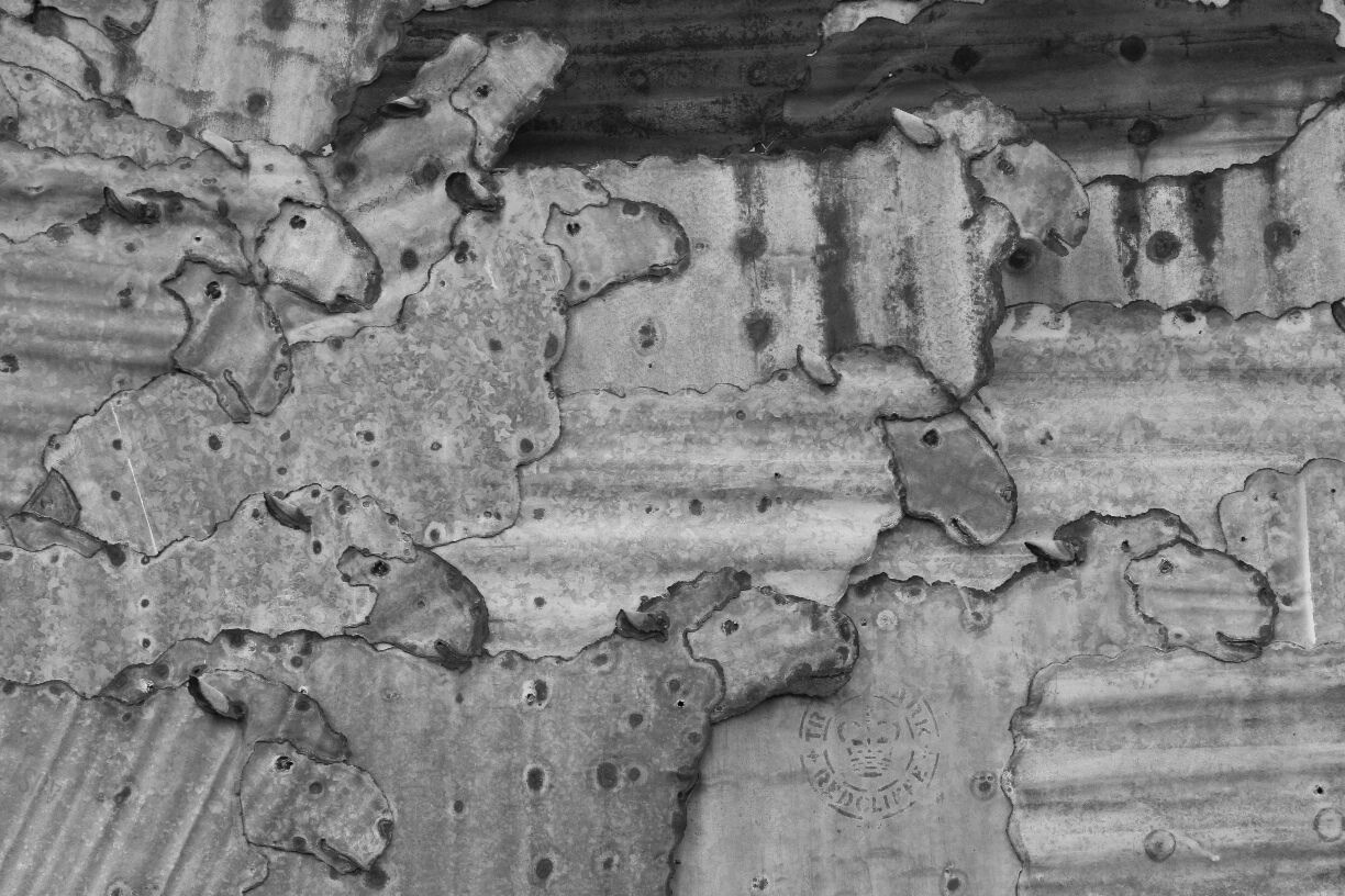 A metallic sculpture on the side of the tourist information building, representing the area's agricultural market.  Well, that and wheat.  This is where I grew up. 