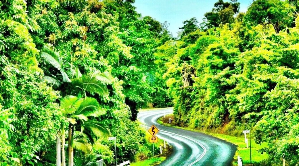 Somewhere in the middle of Cairns and Mission Beach. Australia.