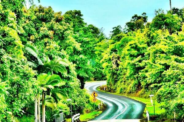 Somewhere in the middle of Cairns and Mission Beach. Australia.