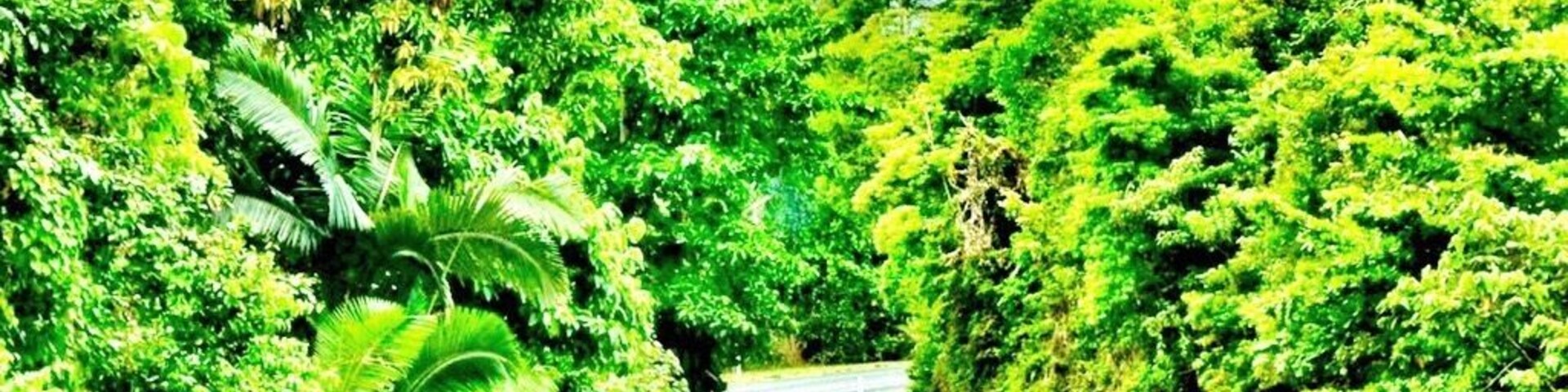 Somewhere in the middle of Cairns and Mission Beach. Australia.