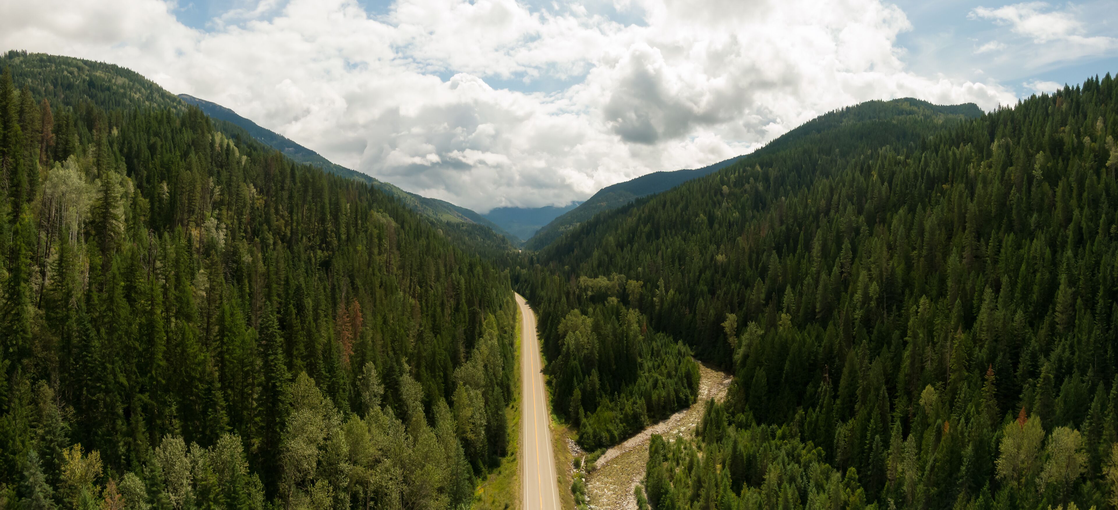 A forested valley with a road running through it.