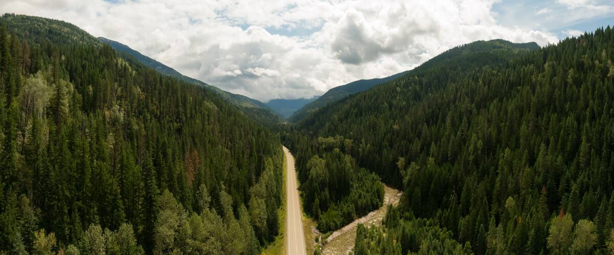 A forested valley with a road running through it.
