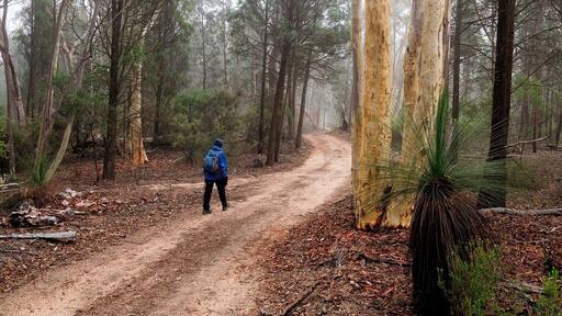 This area is worth exploring. A packed lunch, plenty of water and an easy fire trail walk to complete.