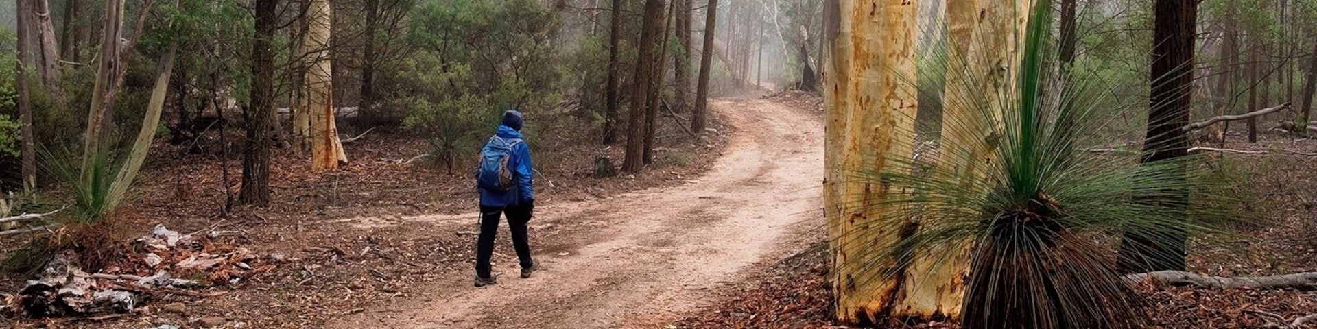 This area is worth exploring. A packed lunch, plenty of water and an easy fire trail walk to complete.