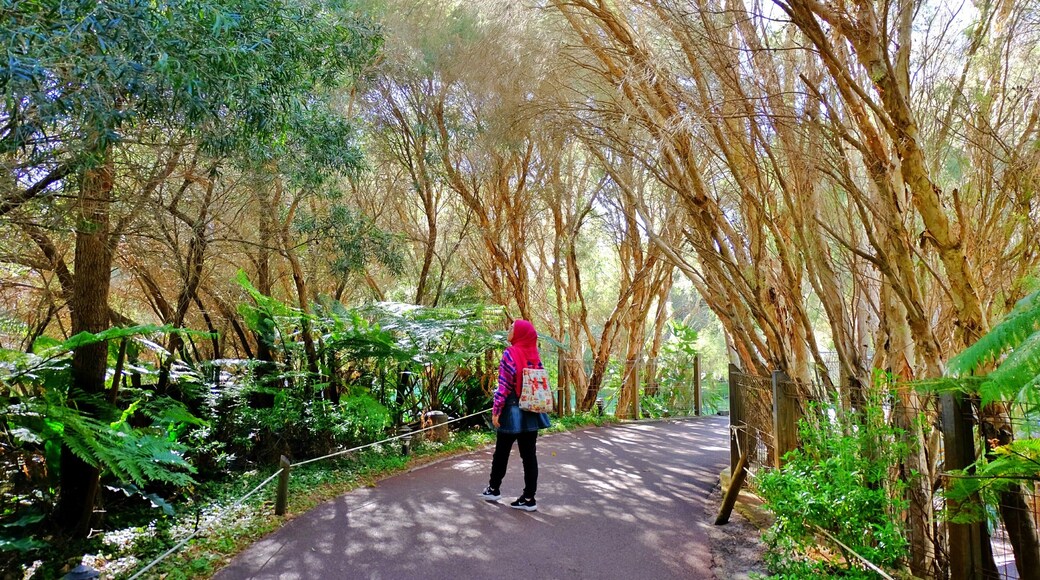 Mesmerized to see God's beautiful creation :) #lifeatexpedia