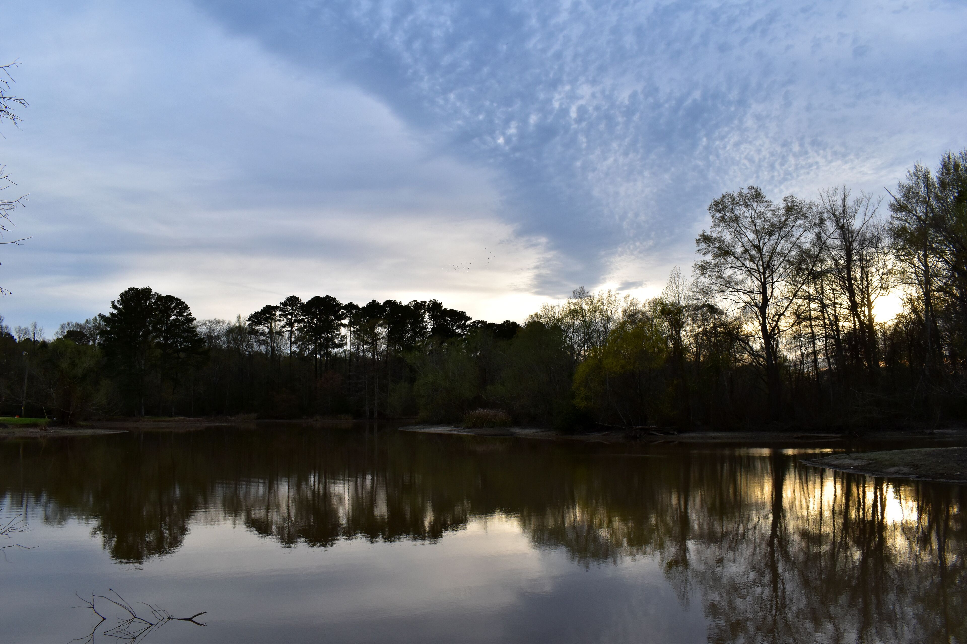 A calm lake reflecting trees and a cloudy sky.