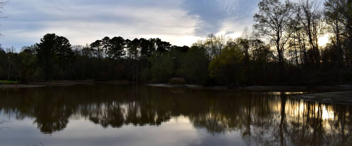 A calm lake reflecting trees and a cloudy sky.