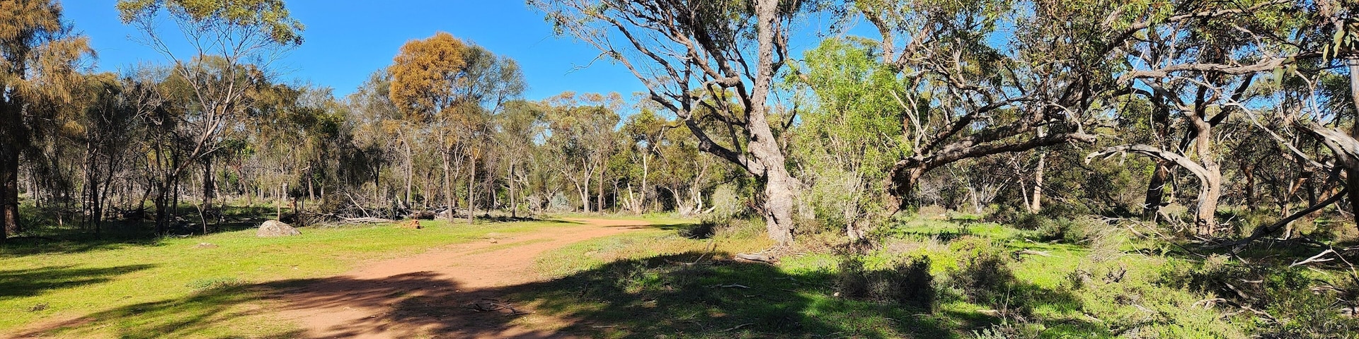 Monarto Woodlands near Murray Bridge in South Australia