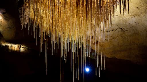 Mount Light featuring caves