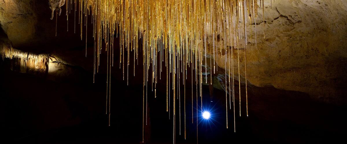A cave with golden stalactites hanging from the ceiling.