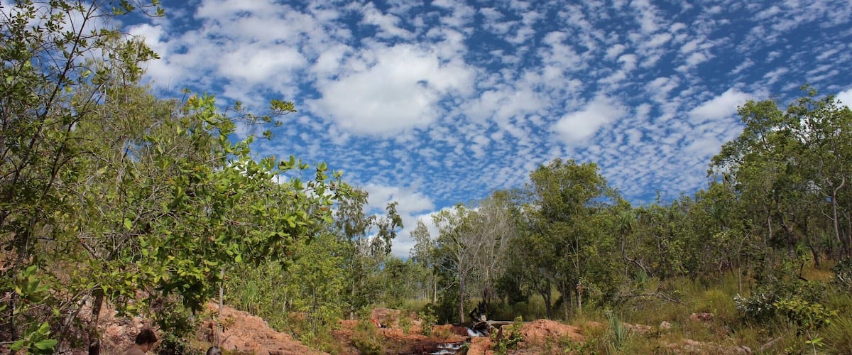 A waterfall in a forested area with a clear sky.