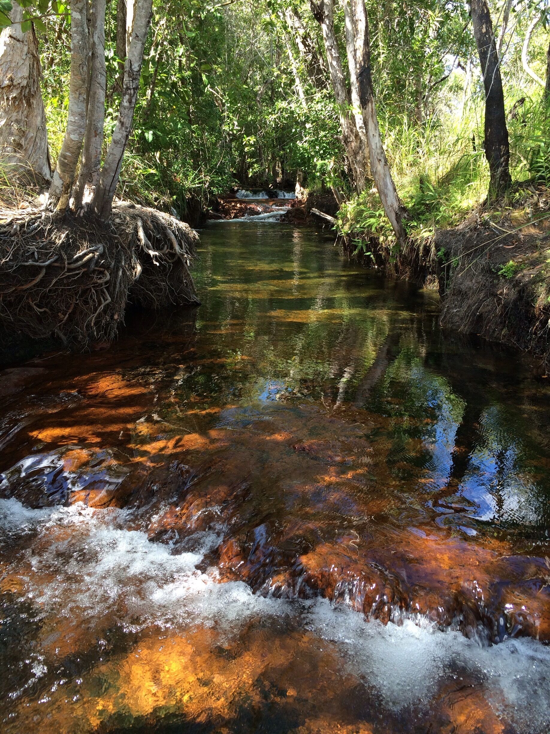 The colours of nature!  
It was like magic at the Buley Rockholes in Litchfield National Park, Northern Territory; #Australia.  
Refreshingly pretty crystal clear waters.
#iPhoneOnly
