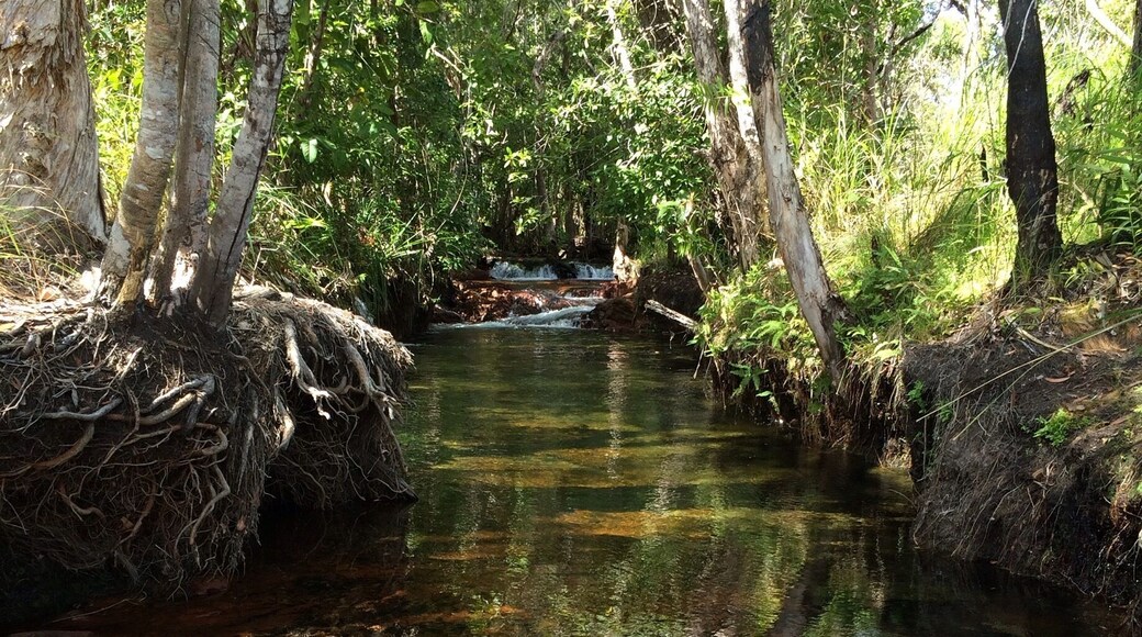 The colours of nature!
It was like magic at the Buley Rockholes in Litchfield National Park, Northern Territory; #Australia.
Refreshingly pretty crystal clear waters.
#iPhoneOnly