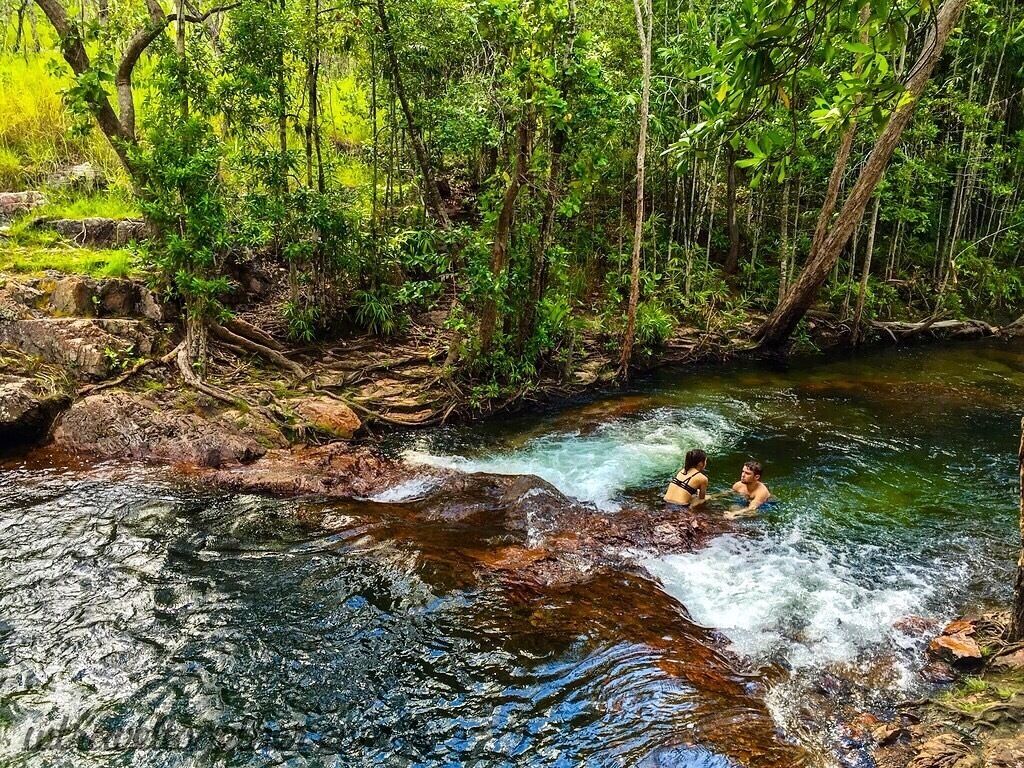 A river flowing through a forest with rocks and trees.