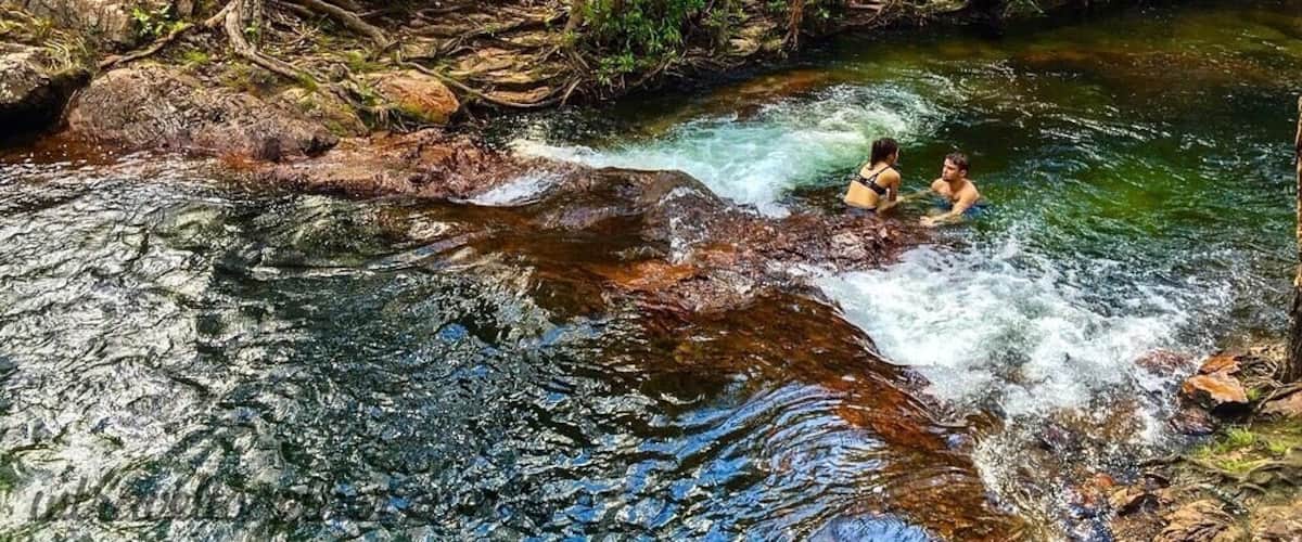 A river flowing through a forest with rocks and trees.