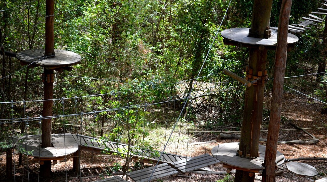 Tree Top Adventure Park is suitable for ages 3 up. There is something for everyone and will help you conquer some of those fears. It’s located just off the M1 at the Wyong Exit and as you drive through the gates you will be blown away by the beauty and a different perspective you will have when experiencing each course.
Please head over to my facebook blog '4 pairs of Itchy Feet' to read a little more about Tree Top Adventure Park on the Central Coast