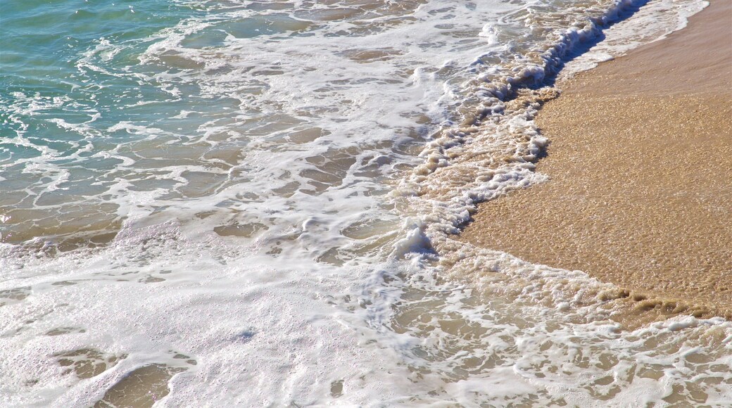 City Beach which includes general coastal views and a beach