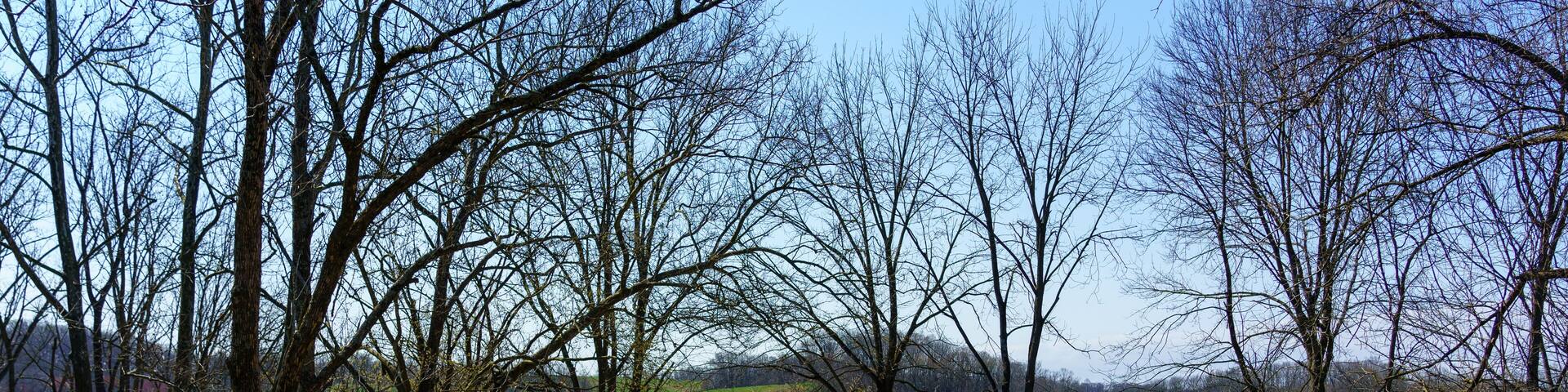 Bridge to Nature Preserve